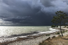 Det trækker op til storm en august dag i 2018. Dårligt vejr plejer dog ikke at rammer Odden.